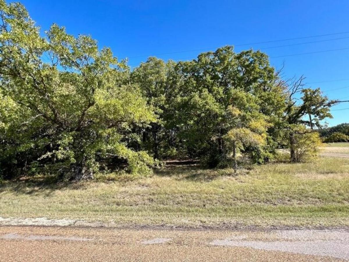 Picture of Residential Land For Sale in Trinidad, Texas, United States