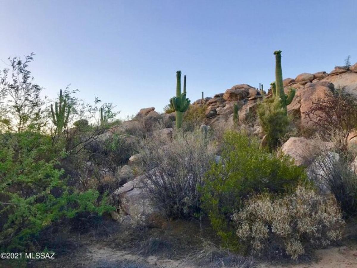 Picture of Residential Land For Sale in Oro Valley, Arizona, United States