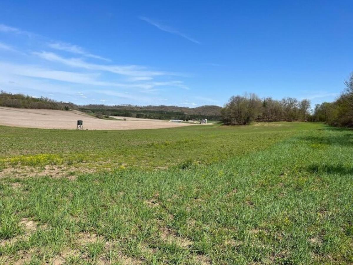 Picture of Residential Land For Sale in Sparta, Wisconsin, United States