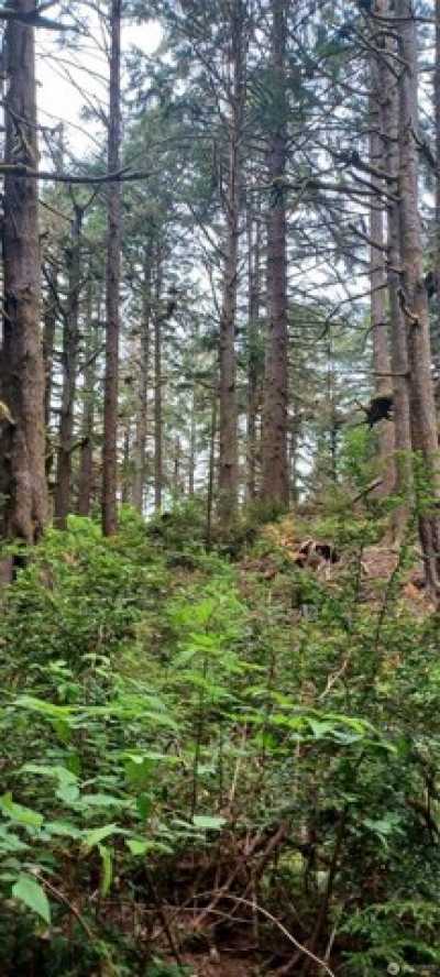 Residential Land For Sale in Pacific Beach, Washington