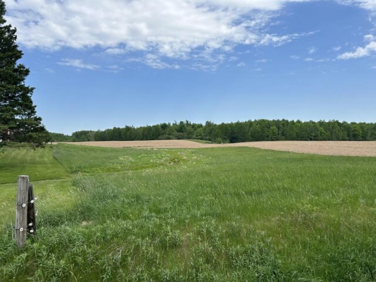 Picture of Residential Land For Sale in Medford, Wisconsin, United States