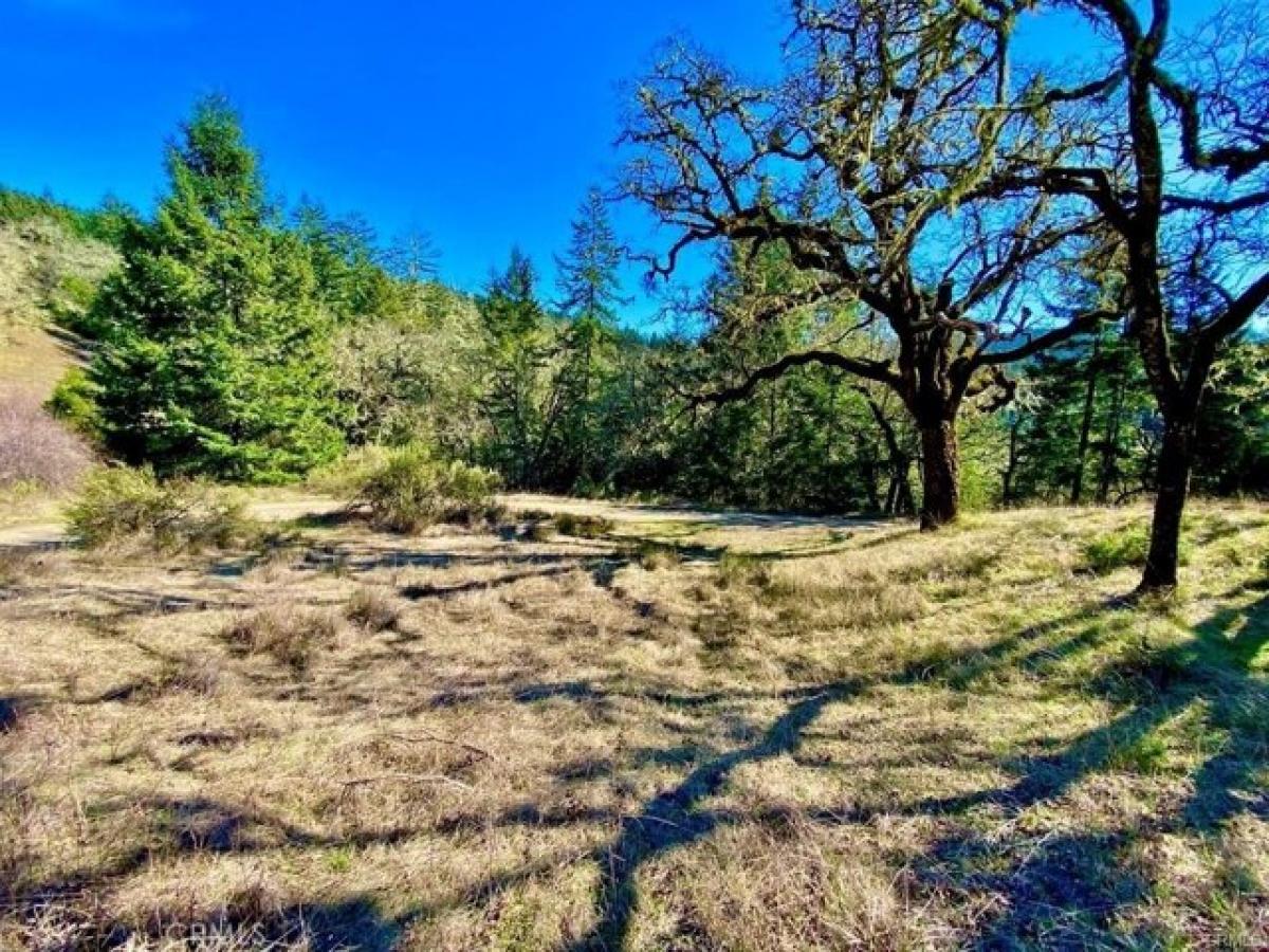 Picture of Residential Land For Sale in Bridgeville, California, United States