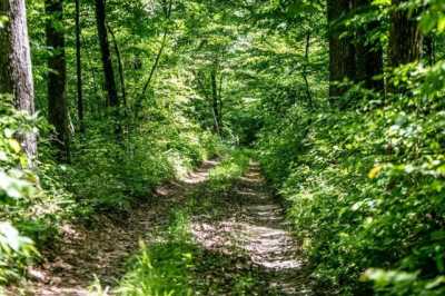 Residential Land For Sale in Craigsville, Virginia