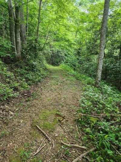 Residential Land For Sale in Marble, North Carolina