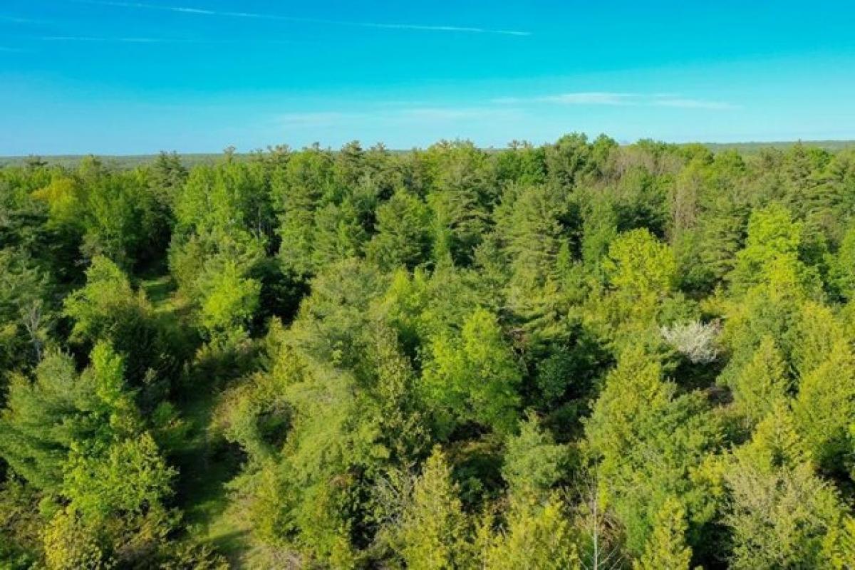 Picture of Residential Land For Sale in Fish Creek, Wisconsin, United States