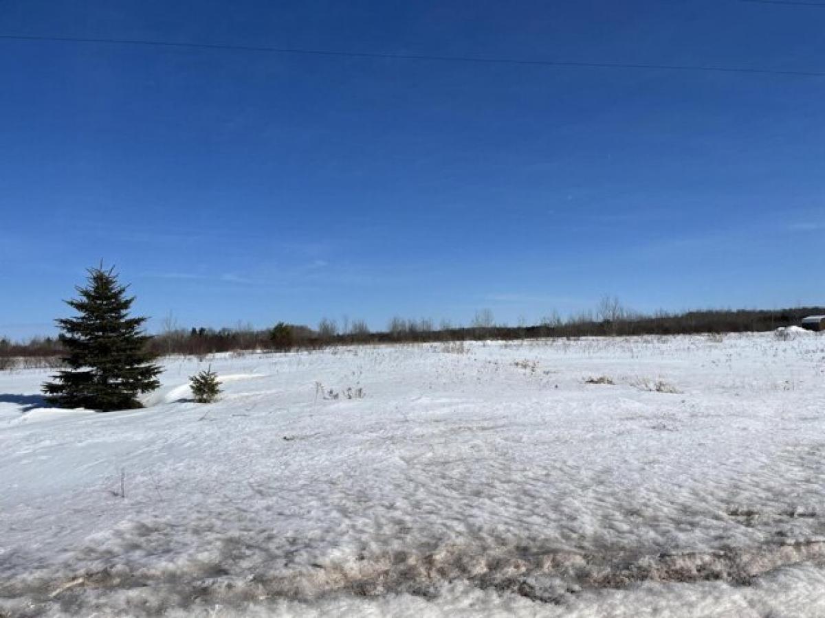 Picture of Residential Land For Sale in Dafter, Michigan, United States