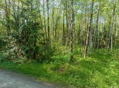 Residential Land For Sale in Elma, Washington