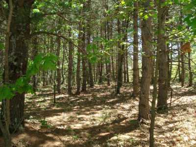 Residential Land For Sale in Wild Rose, Wisconsin