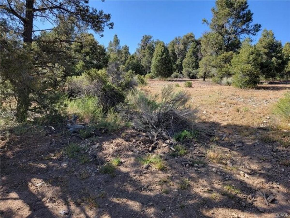 Picture of Residential Land For Sale in Big Bear City, California, United States