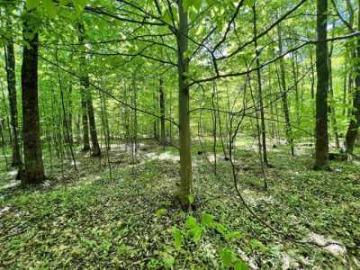 Residential Land For Sale in Athelstane, Wisconsin