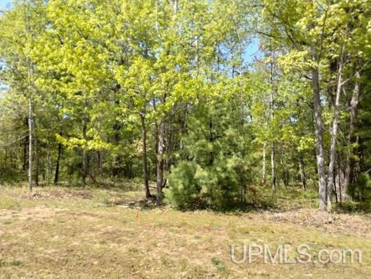 Picture of Residential Land For Sale in Rapid River, Michigan, United States