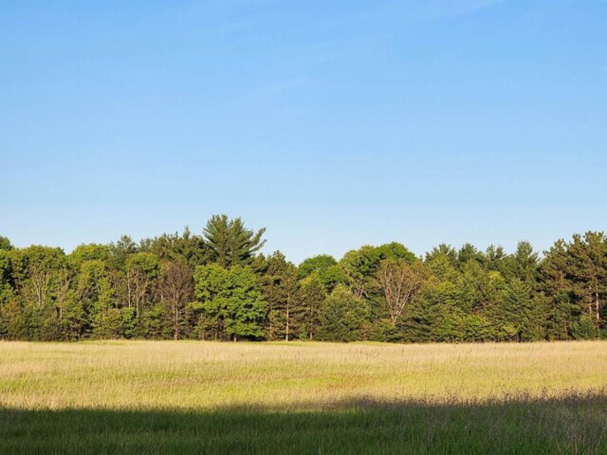 Picture of Residential Land For Sale in Waupaca, Wisconsin, United States