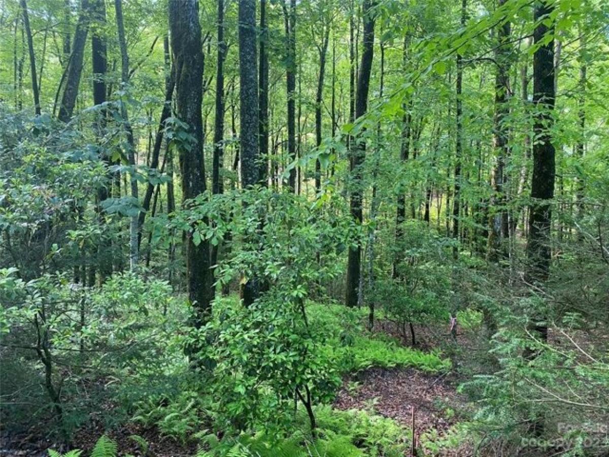 Picture of Residential Land For Sale in Brevard, North Carolina, United States