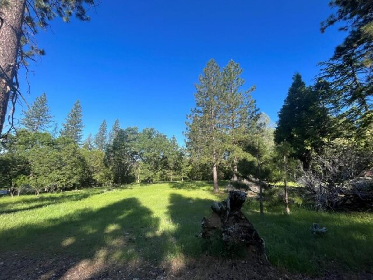 Picture of Residential Land For Sale in Pollock Pines, California, United States