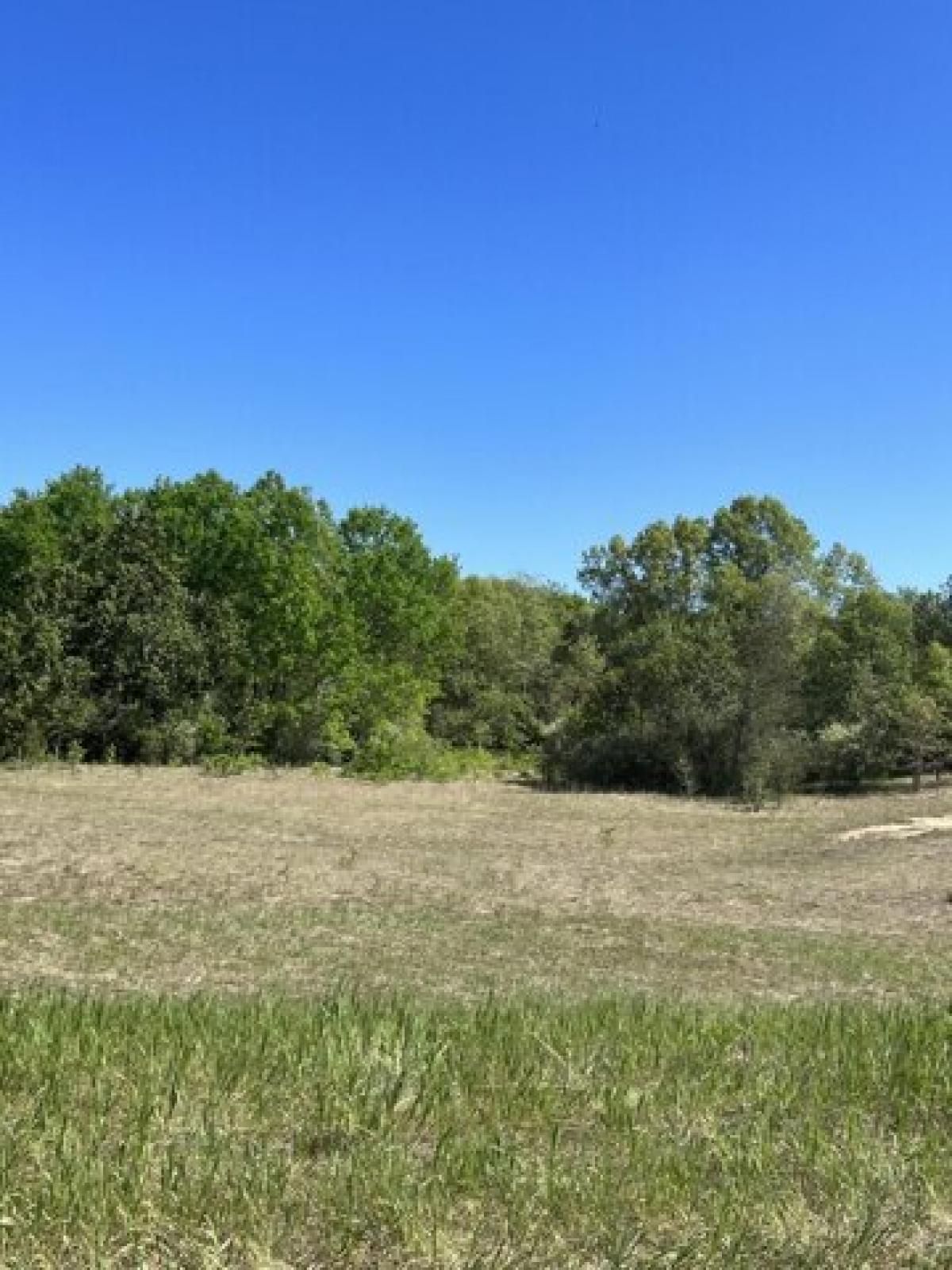 Picture of Residential Land For Sale in Wellston, Michigan, United States