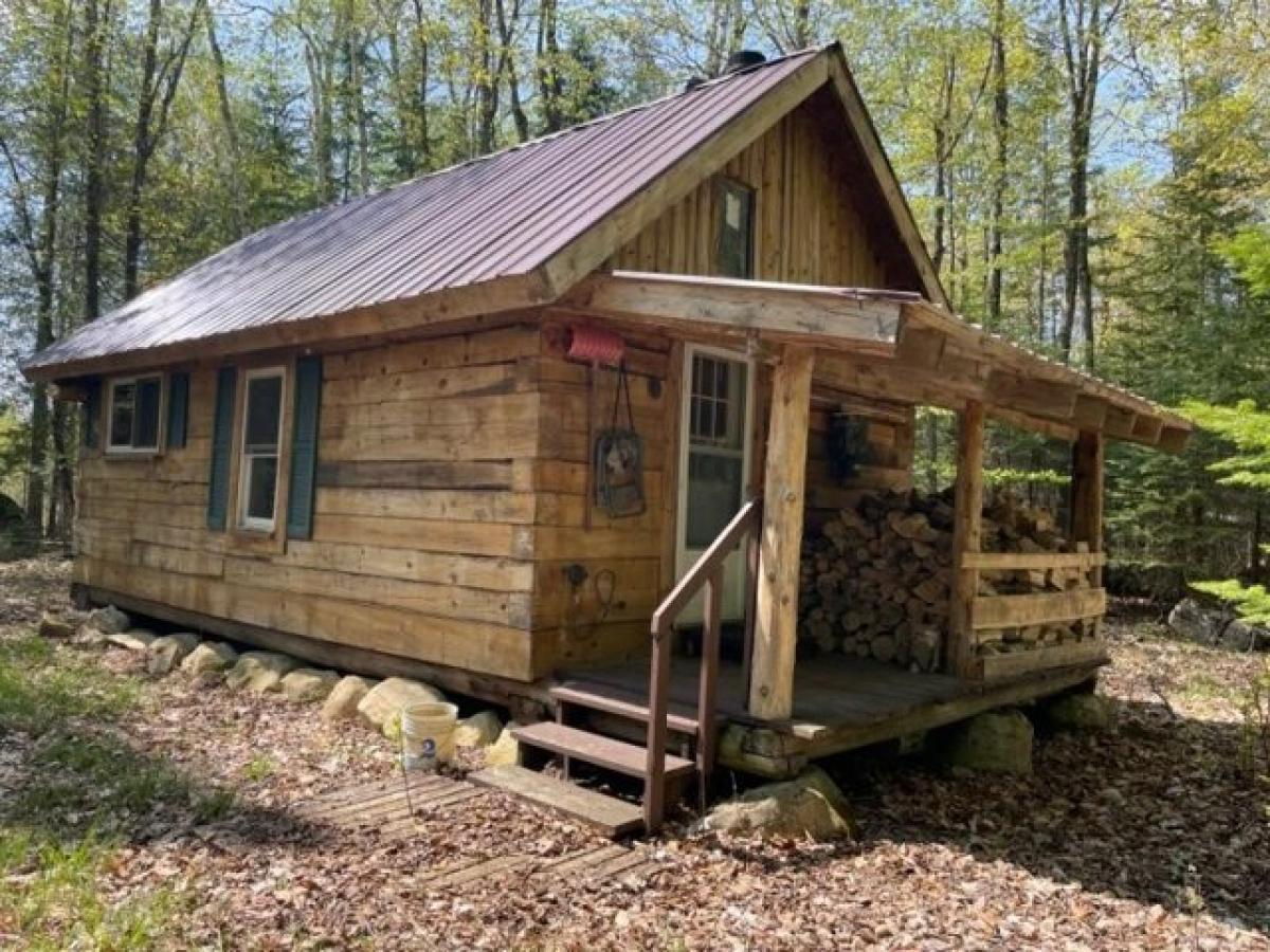 Picture of Home For Sale in De Tour Village, Michigan, United States