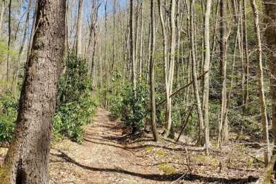Residential Land For Sale in Hiwassee, Virginia