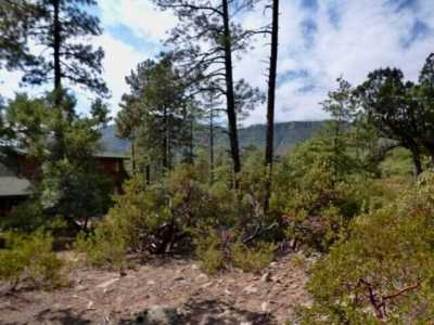 Residential Land For Sale in Pine, Arizona
