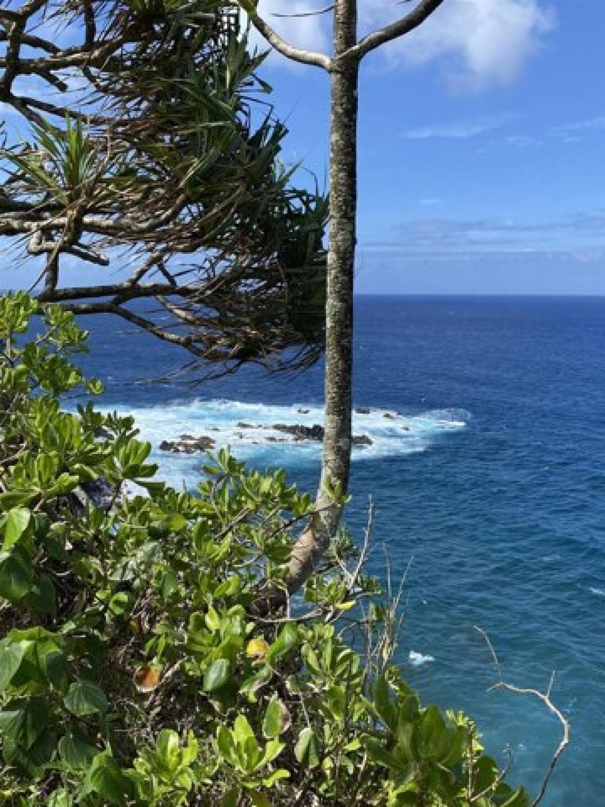 Picture of Home For Sale in Hana, Hawaii, United States