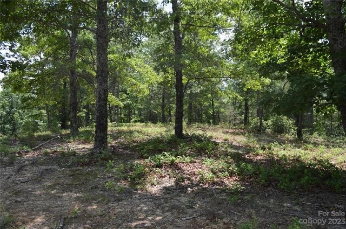 Picture of Residential Land For Sale in Mill Spring, North Carolina, United States