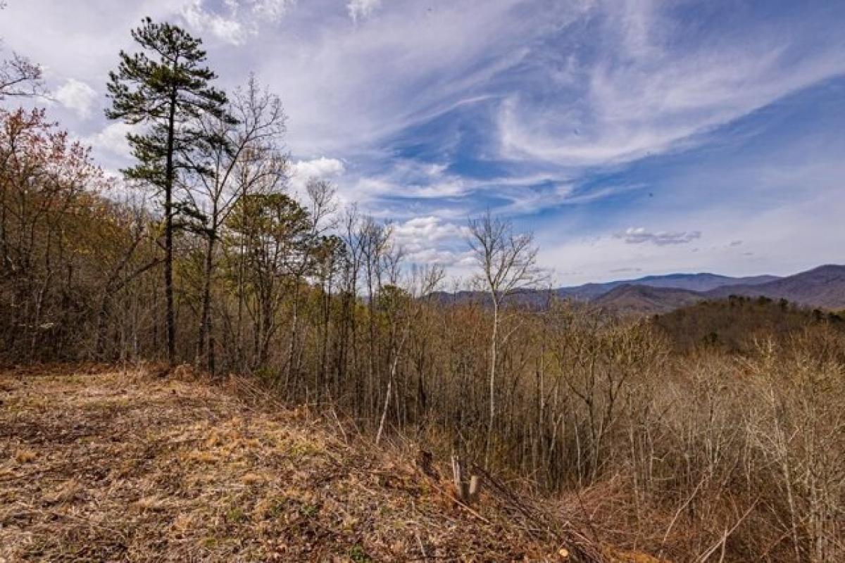 Picture of Residential Land For Sale in Bryson City, North Carolina, United States