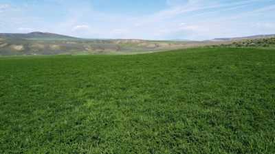 Residential Land For Sale in Craig, Colorado