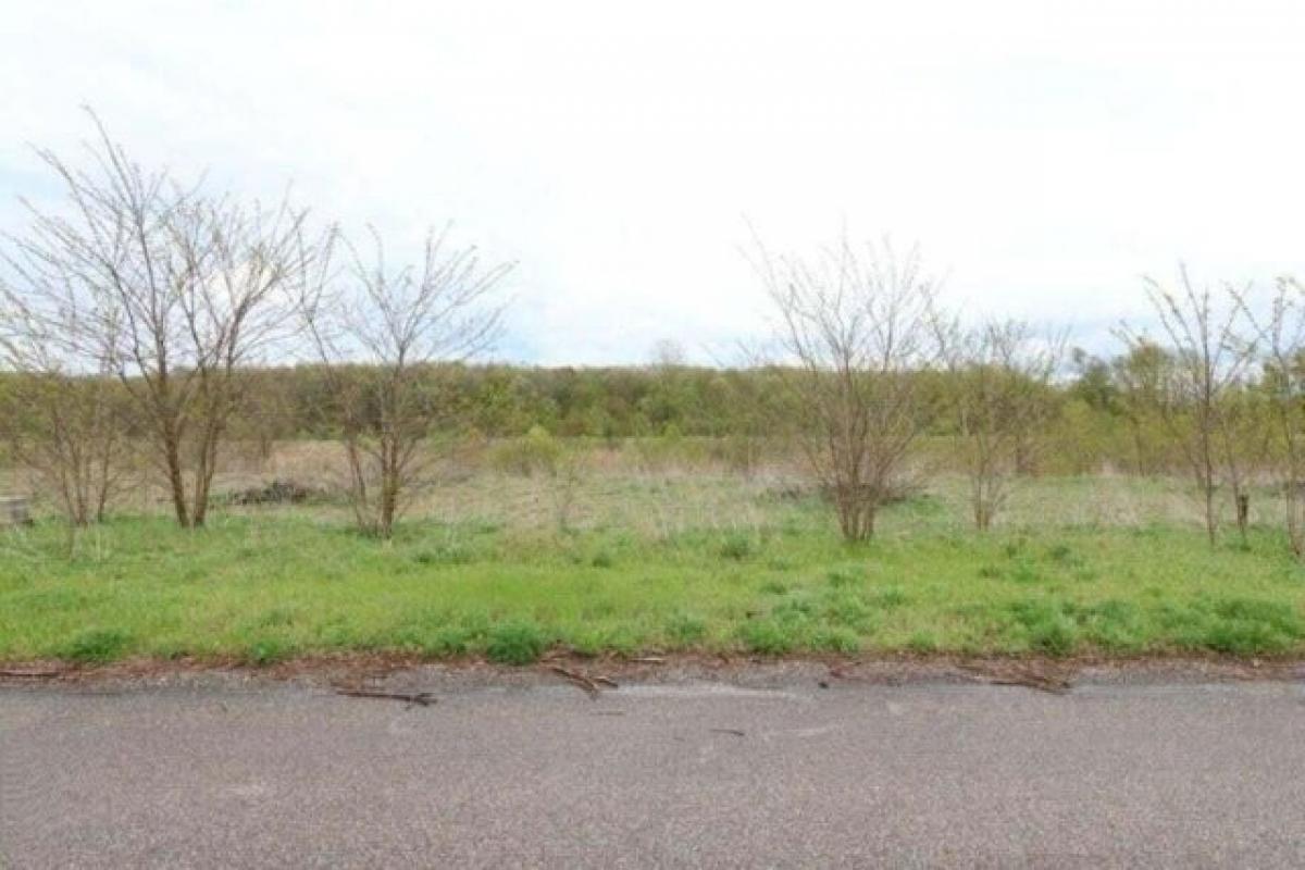 Picture of Residential Land For Sale in Edwardsburg, Michigan, United States