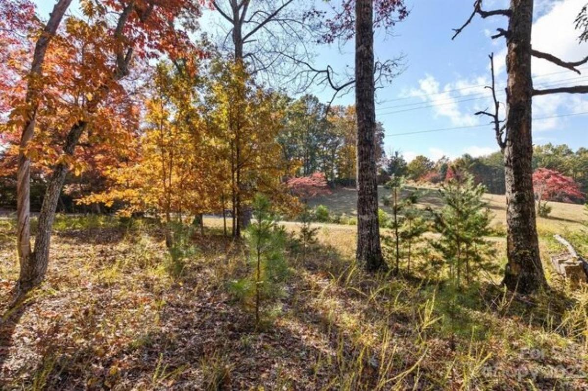 Picture of Residential Land For Sale in Rutherfordton, North Carolina, United States