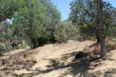 Residential Land For Sale in Coarsegold, California