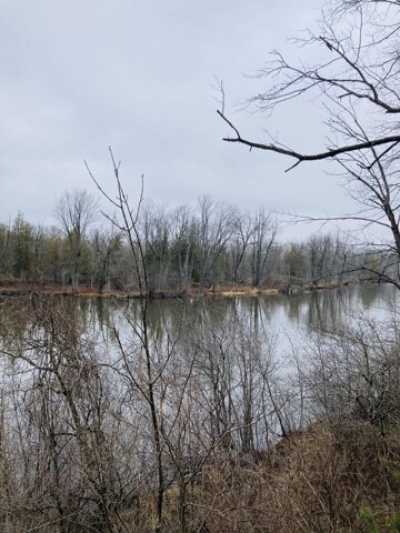Residential Land For Sale in Evart, Michigan