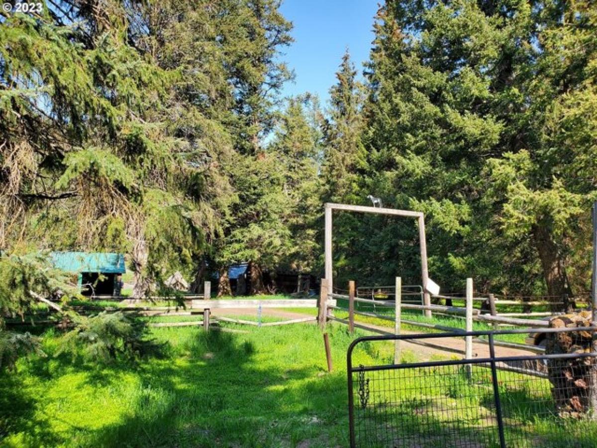 Picture of Home For Sale in Joseph, Oregon, United States