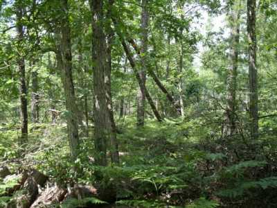Residential Land For Sale in Irons, Michigan