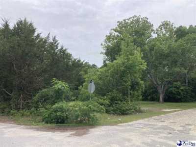 Residential Land For Sale in Dillon, South Carolina