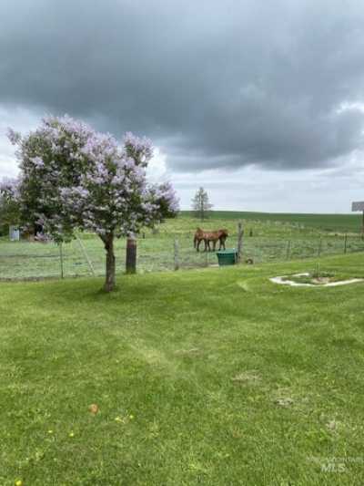 Home For Sale in Craigmont, Idaho