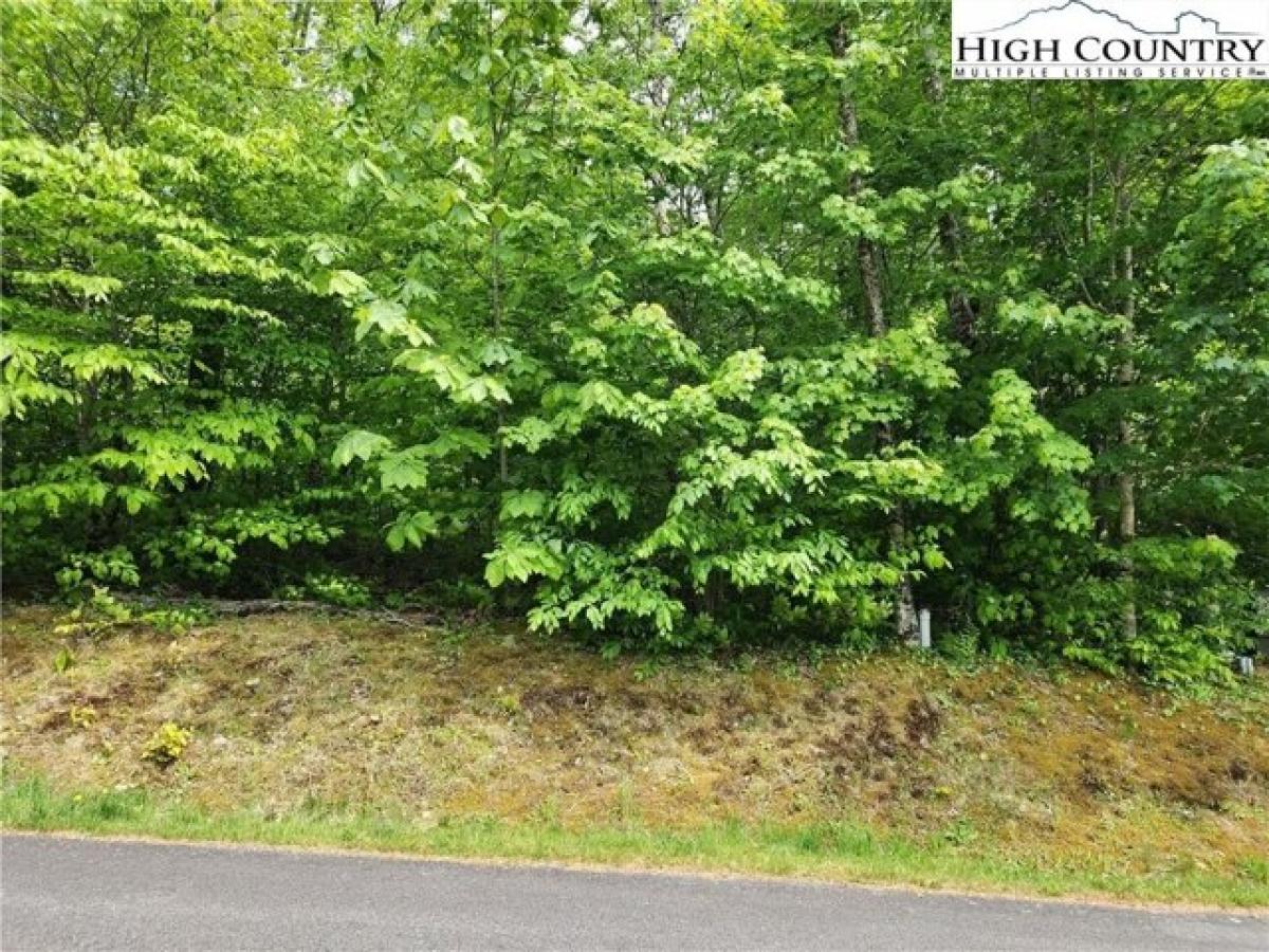 Picture of Residential Land For Sale in Linville, North Carolina, United States