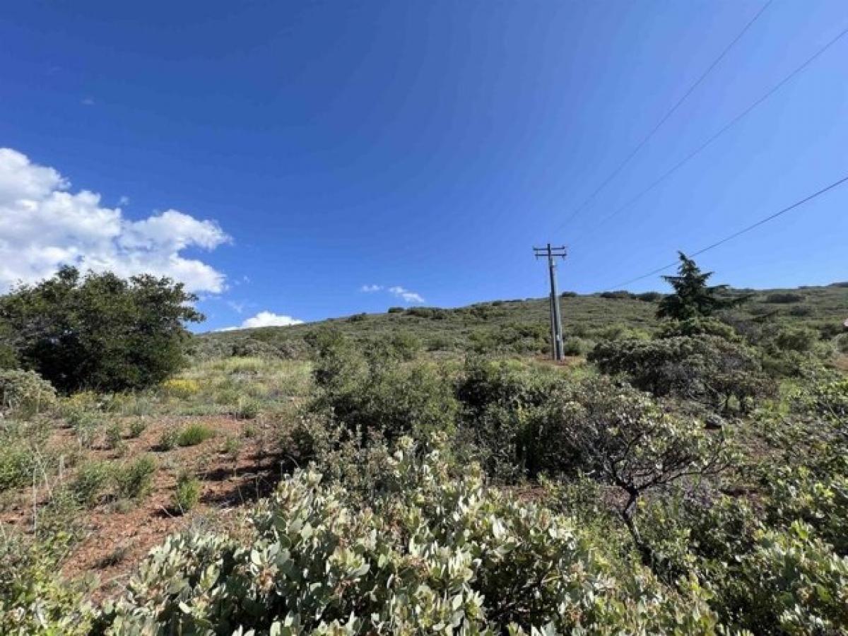 Picture of Residential Land For Sale in Guatay, California, United States