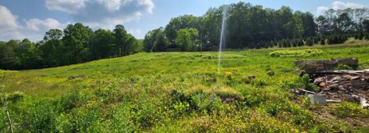 Picture of Residential Land For Sale in Crossnore, North Carolina, United States