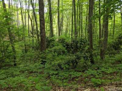 Residential Land For Sale in Cullowhee, North Carolina