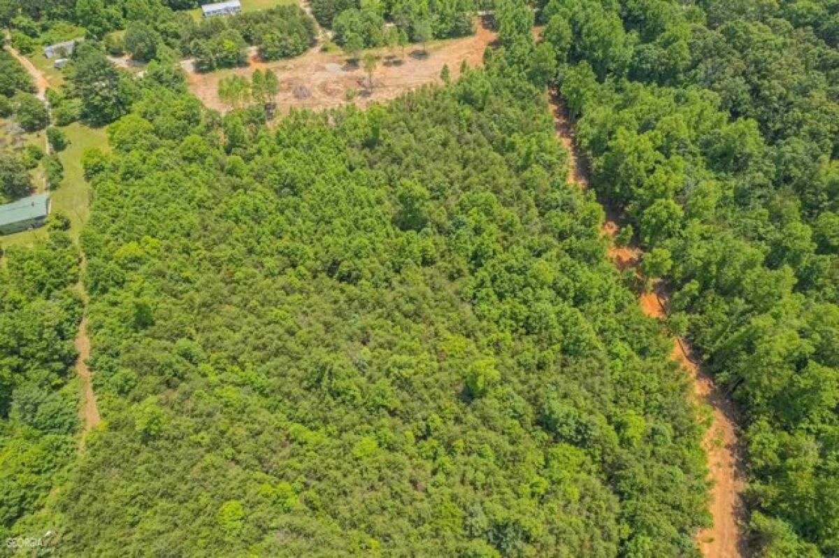 Picture of Residential Land For Sale in Clarkesville, Georgia, United States