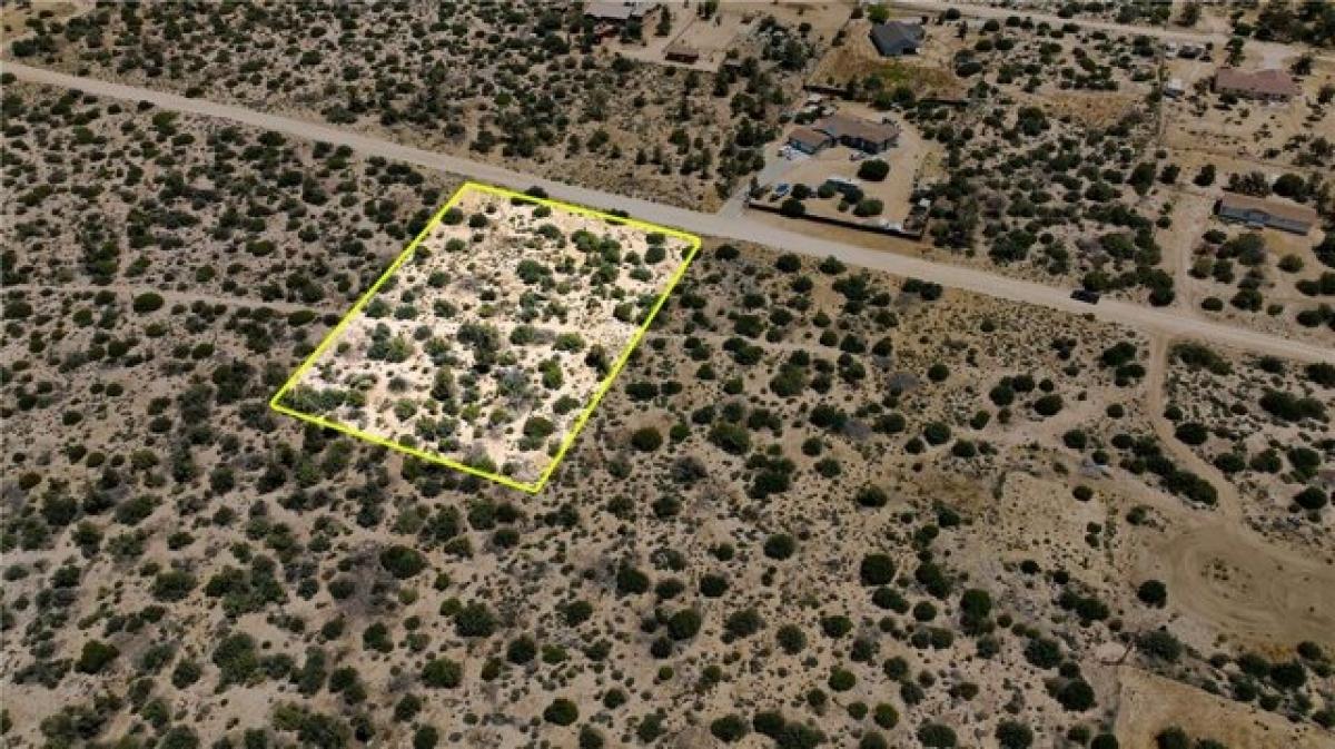 Picture of Residential Land For Sale in Mountain Center, California, United States