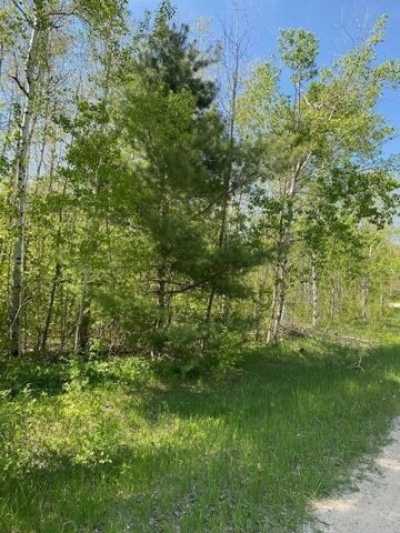 Residential Land For Sale in Elmira, Michigan