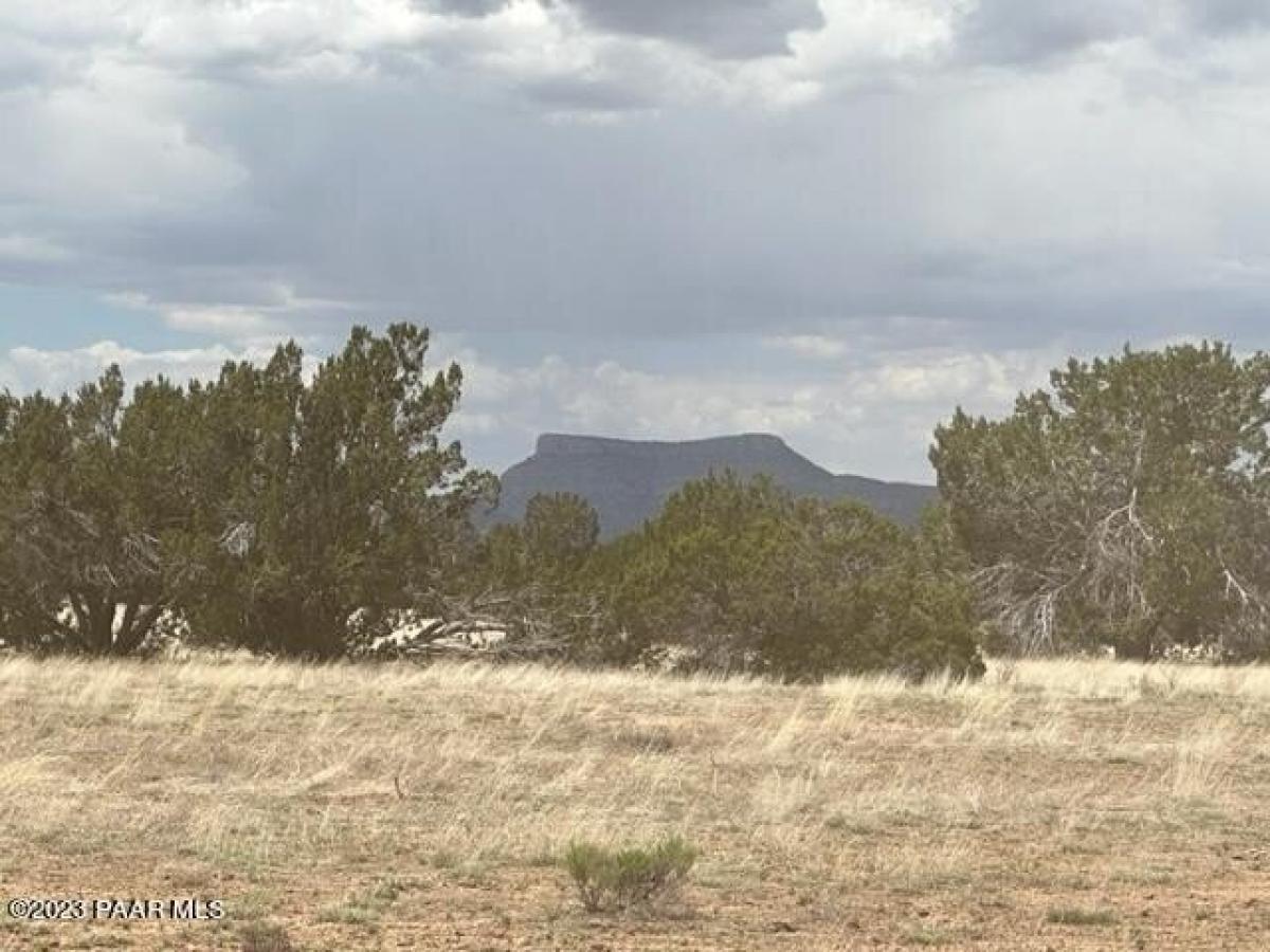 Picture of Residential Land For Sale in Seligman, Arizona, United States