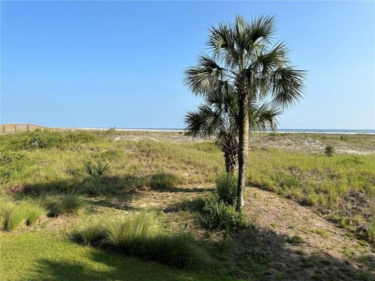Picture of Home For Sale in Dauphin Island, Alabama, United States