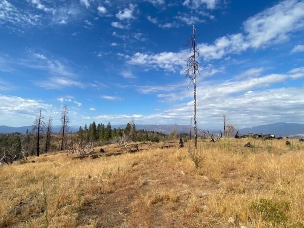 Picture of Residential Land For Sale in Auberry, California, United States