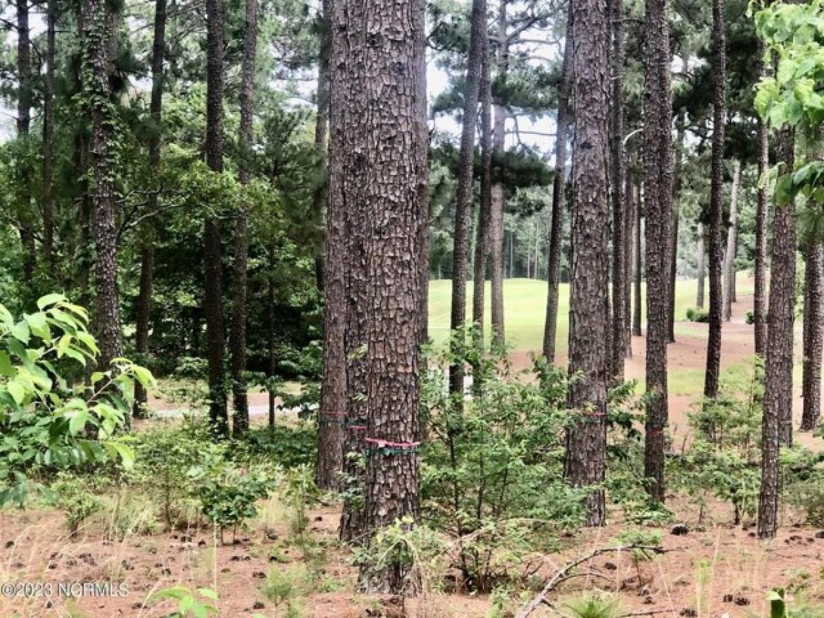 Picture of Residential Land For Sale in Southern Pines, North Carolina, United States