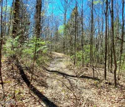 Residential Land For Sale in Winfield, Tennessee
