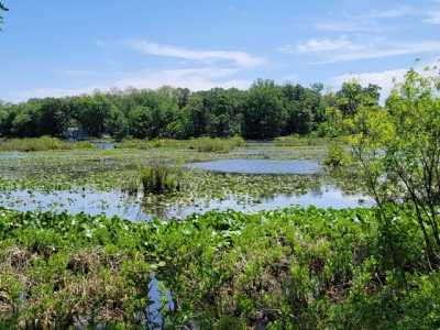 Residential Land For Sale in Sturgis, Michigan