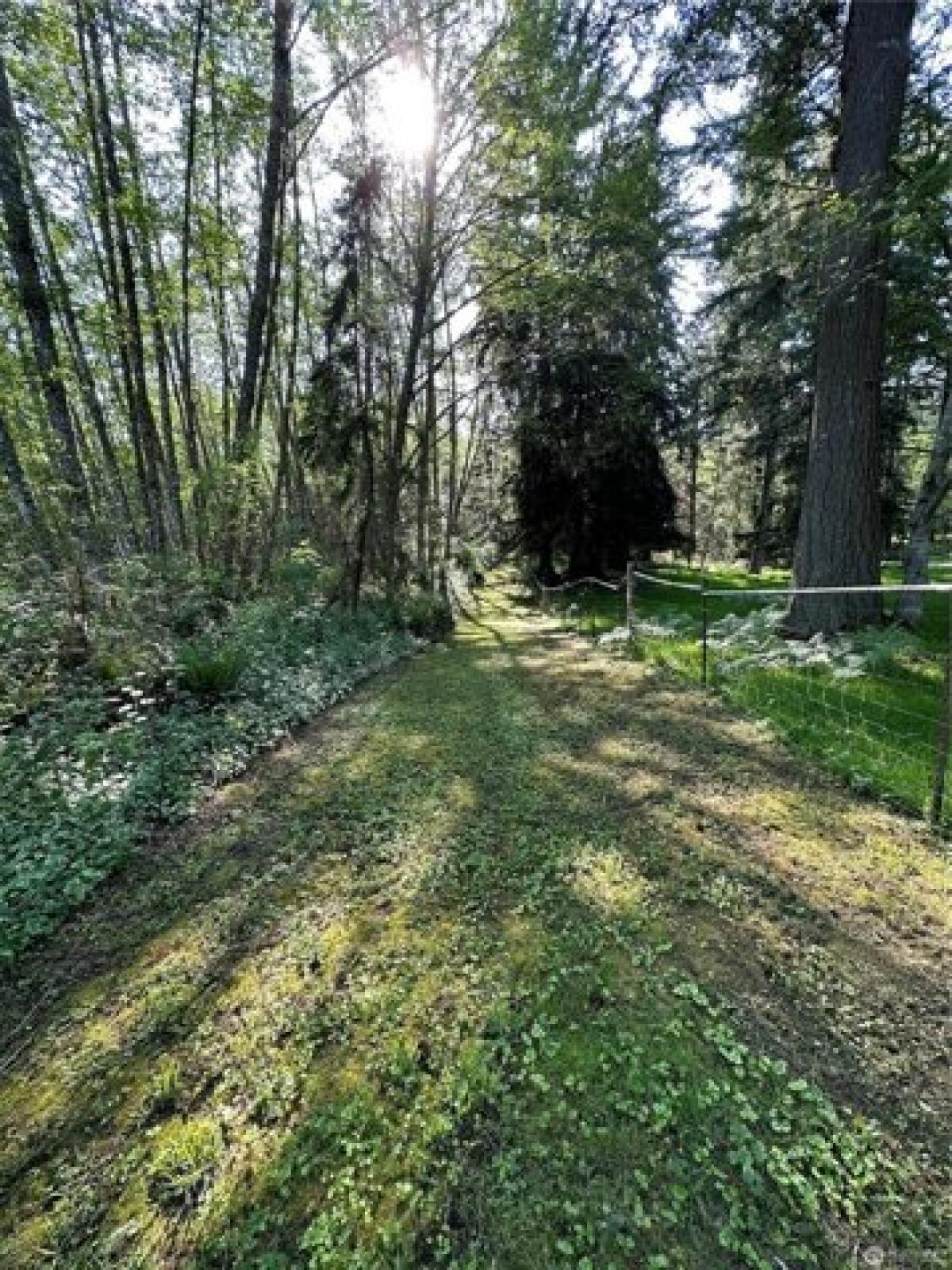 Picture of Residential Land For Sale in Greenbank, Washington, United States