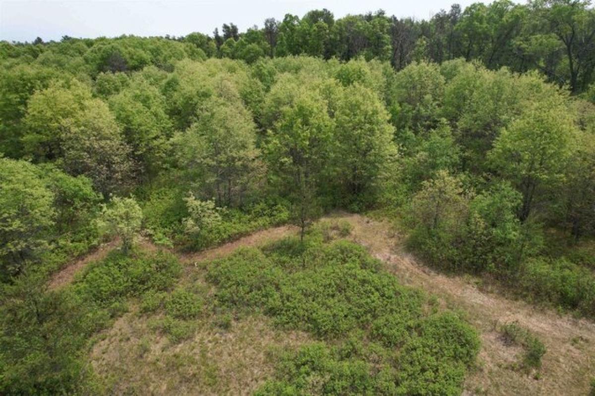 Picture of Residential Land For Sale in Hancock, Wisconsin, United States