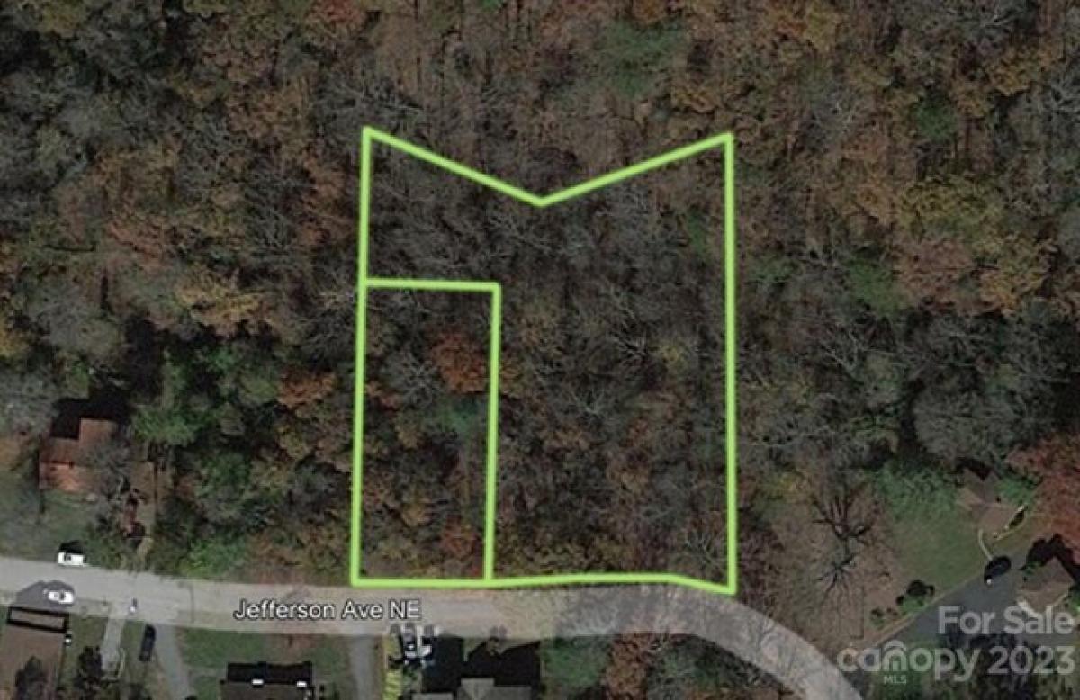 Picture of Residential Land For Sale in Valdese, North Carolina, United States